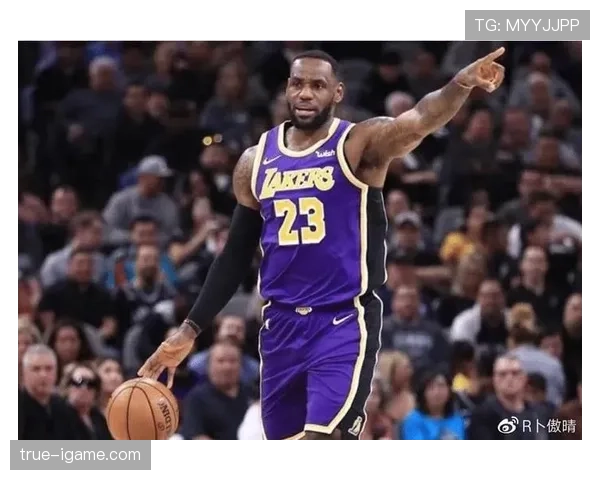 佩恩太阳冠军成员助力球队夺冠，展现非凡实力