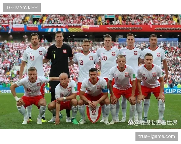 欧洲杯预选赛激战正酣，多支球队展现顽强斗志与竞技风采