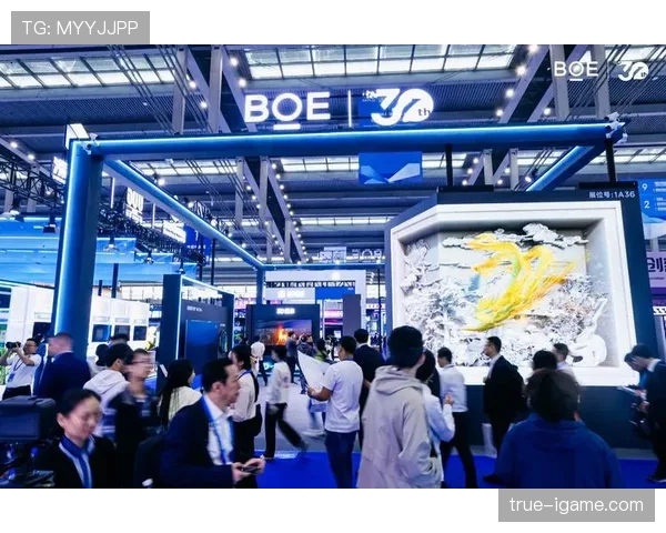 亚美尼亚青年活力迸发，引领国家发展新气象