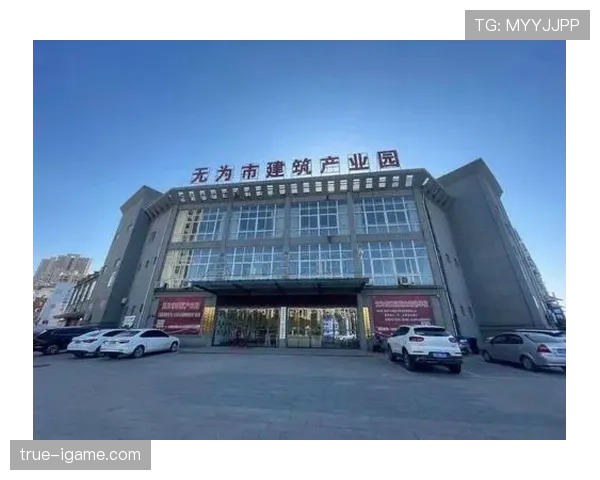 格罗宁根足球崛起助力城市经济：表现提升或成增长新引擎